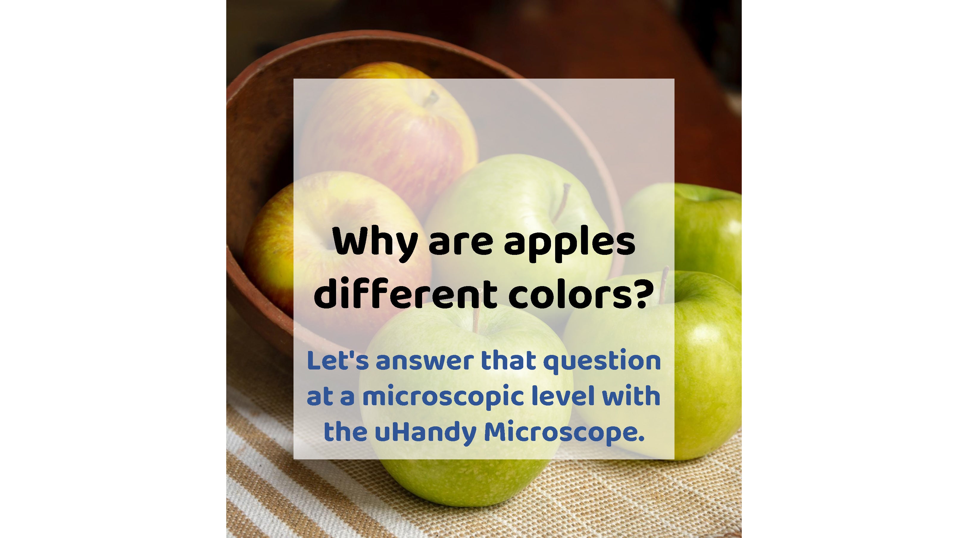 Why Are Apples Different Colors? Let’s Answer That Question at a Microscopic Level With the uHandy Microscope.